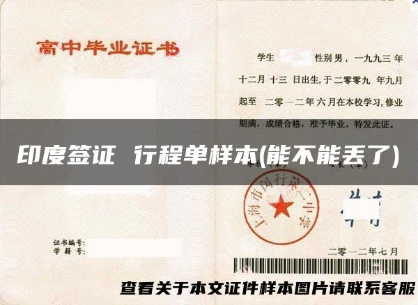 印度签证 行程单样本(能不能丢了)