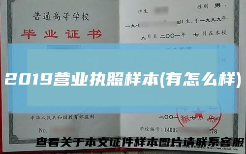 2019营业执照样本(有怎么样)