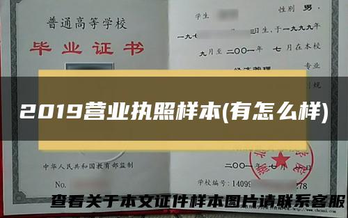 2019营业执照样本(有怎么样)