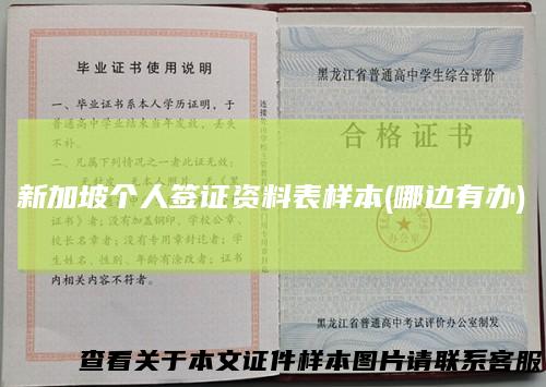 新加坡个人签证资料表样本(哪边有办)