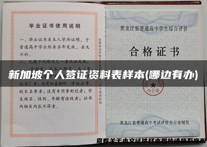 新加坡个人签证资料表样本(哪边有办)