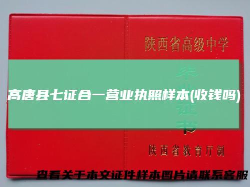 高唐县七证合一营业执照样本(收钱吗)