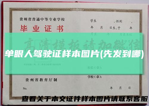 单眼人驾驶证样本图片(先发到哪)