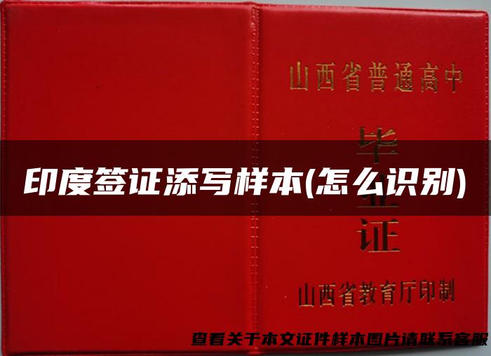 印度签证添写样本(怎么识别)