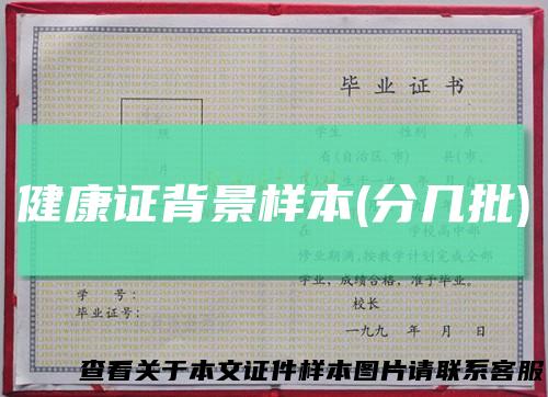 健康证背景样本(分几批)