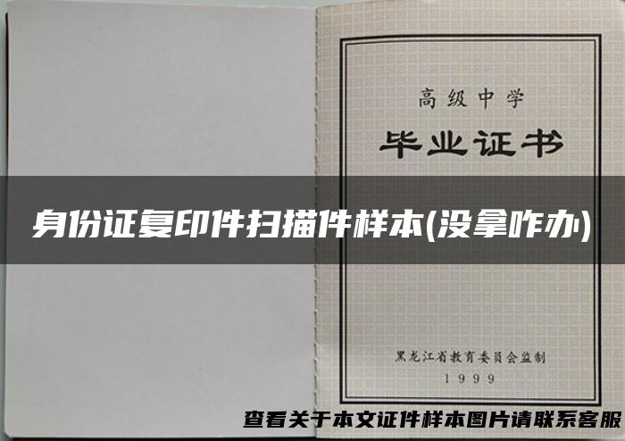 身份证复印件扫描件样本(没拿咋办)