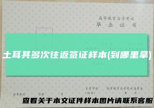 土耳其多次往返签证样本(到哪里拿)