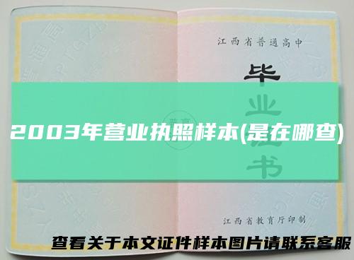 2003年营业执照样本(是在哪查)