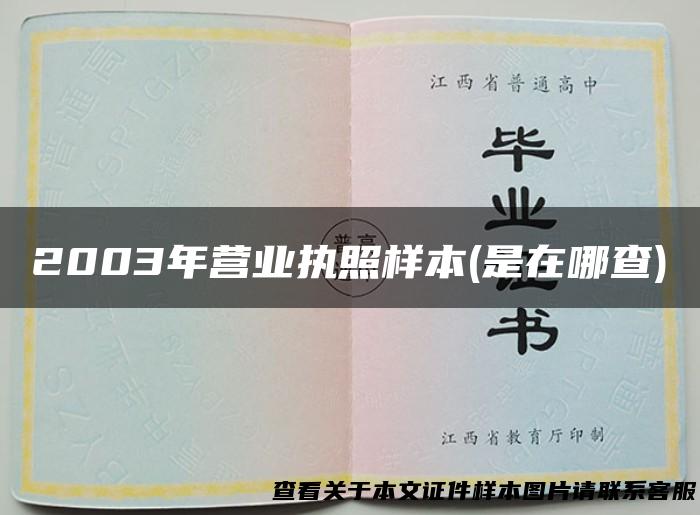 2003年营业执照样本(是在哪查)