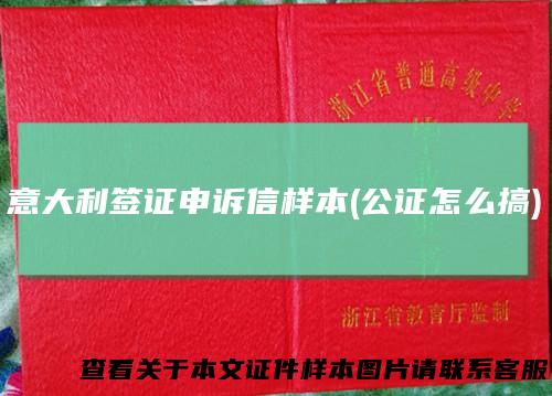 意大利签证申诉信样本(公证怎么搞)