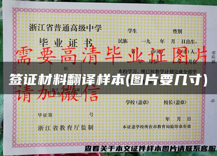 签证材料翻译样本(图片要几寸)