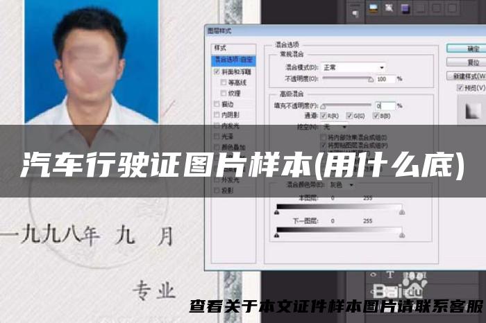 汽车行驶证图片样本(用什么底)