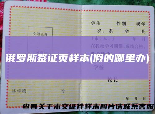 俄罗斯签证页样本(假的哪里办)