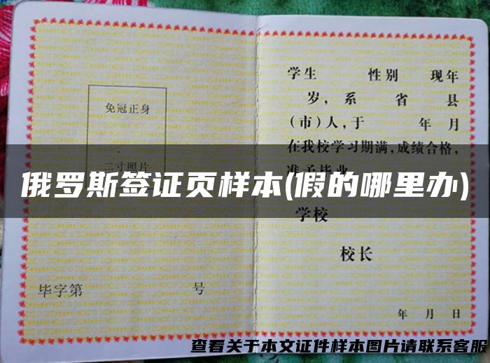 俄罗斯签证页样本(假的哪里办)