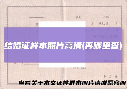 结婚证样本照片高清(再哪里查)