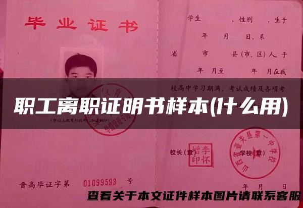 职工离职证明书样本(什么用)