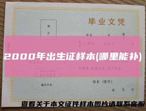 2000年出生证样本(哪里能补)