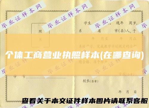 个体工商营业执照样本(在哪查询)