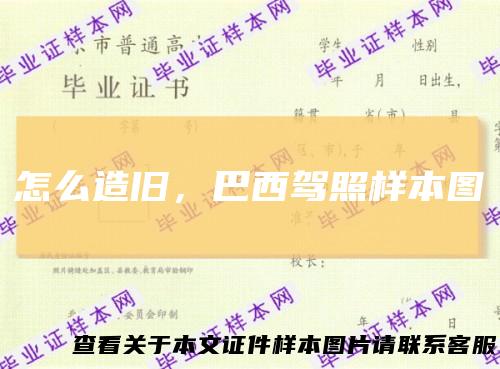 怎么造旧，巴西驾照样本图