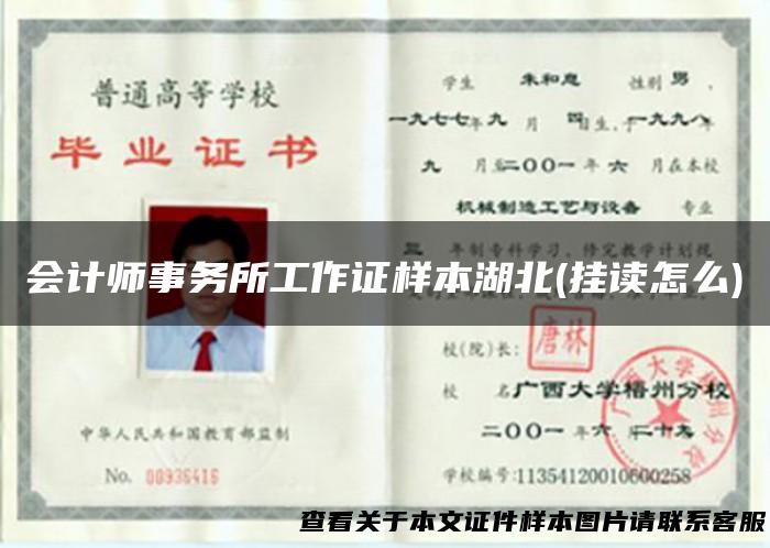 会计师事务所工作证样本湖北(挂读怎么)