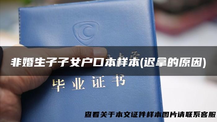 非婚生子子女户口本样本(迟拿的原因)