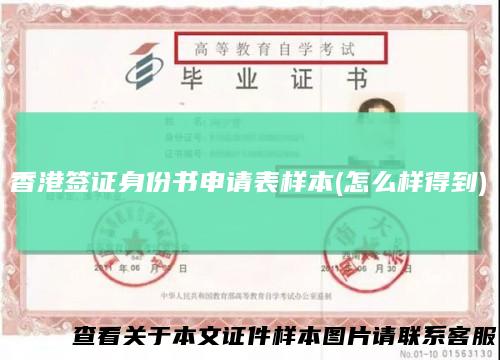 香港签证身份书申请表样本(怎么样得到)