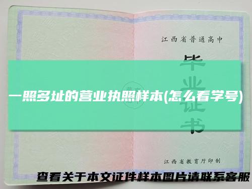 一照多址的营业执照样本(怎么看学号)