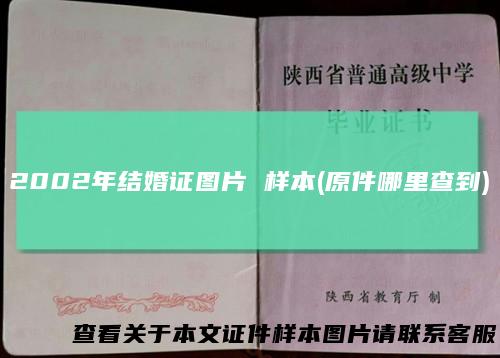 2002年结婚证图片样本(原件哪里查到)