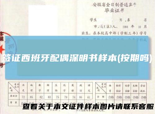 签证西班牙配偶深明书样本(按期吗)