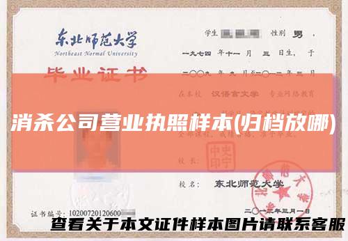 消杀公司营业执照样本(归档放哪)