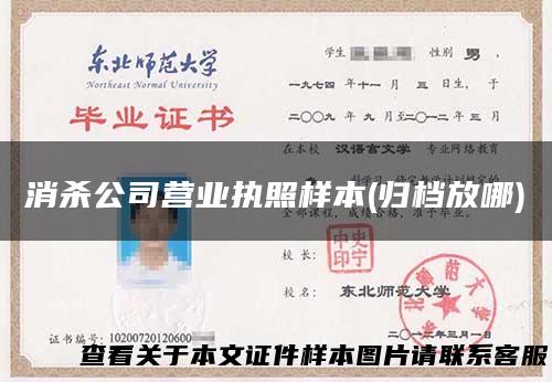 消杀公司营业执照样本(归档放哪)