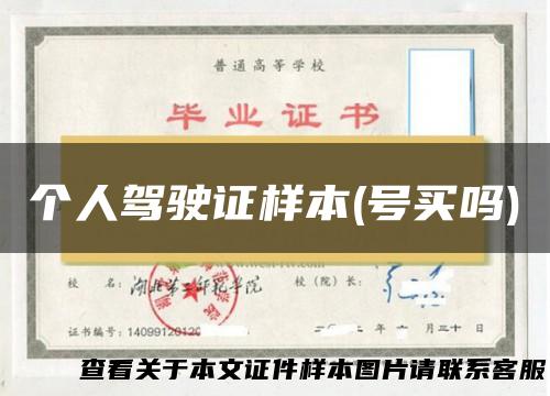 个人驾驶证样本(号买吗)