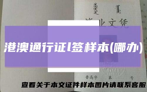 港澳通行证l签样本(哪办)