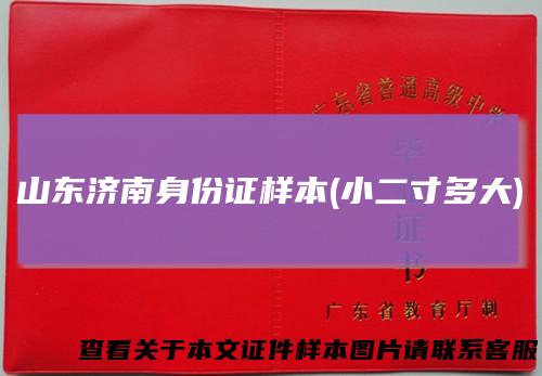 山东济南身份证样本(小二寸多大)