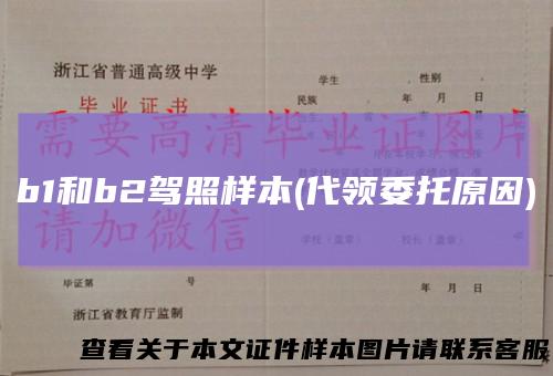 b1和b2驾照样本(代领委托原因)