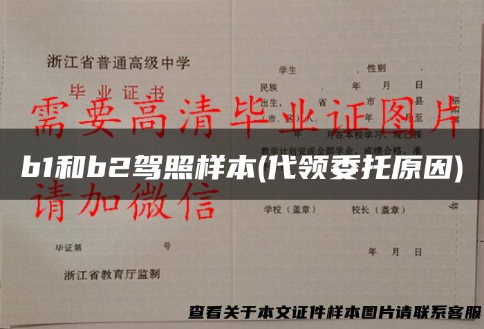b1和b2驾照样本(代领委托原因)