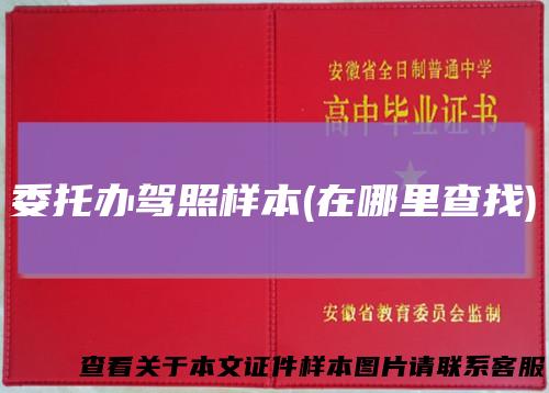 委托办驾照样本(在哪里查找)