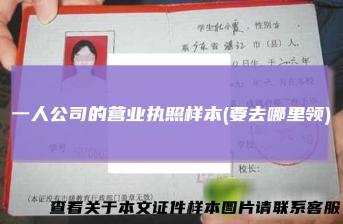 一人公司的营业执照样本(要去哪里领)