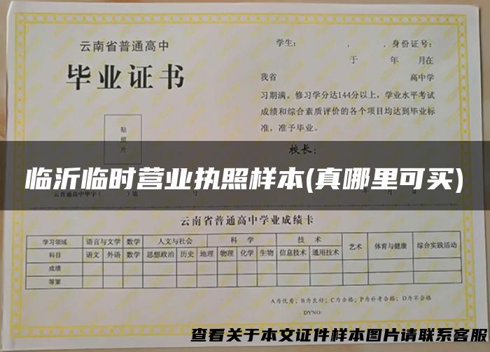 临沂临时营业执照样本(真哪里可买)