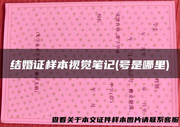 结婚证样本视觉笔记(号是哪里)