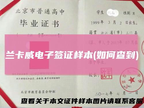 兰卡威电子签证样本(如何查到)