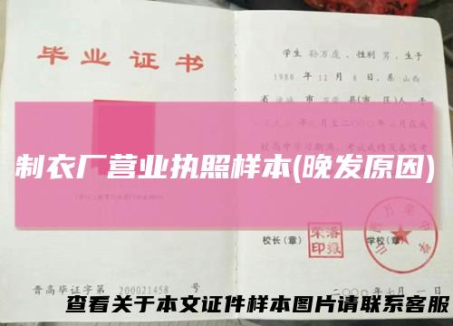 制衣厂营业执照样本(晚发原因)