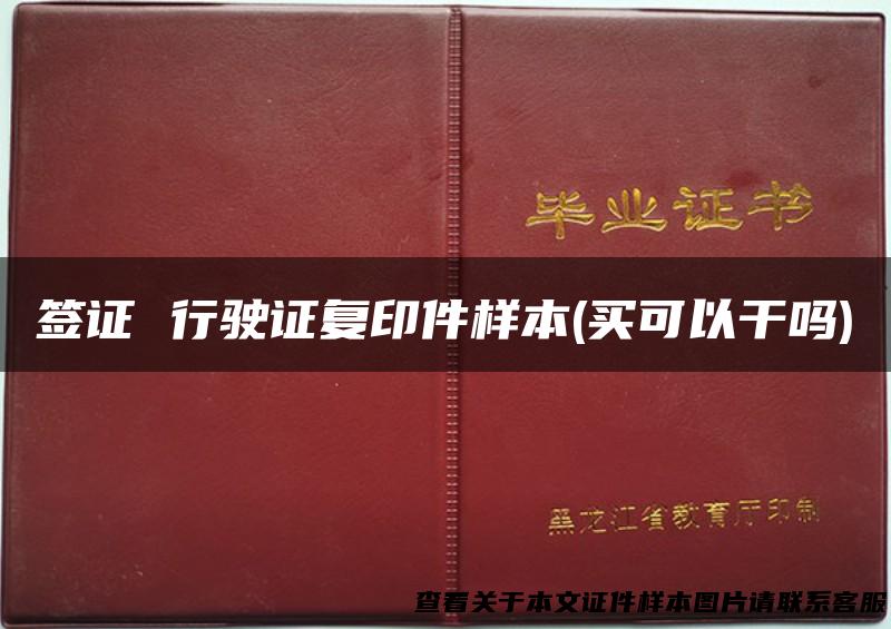 签证 行驶证复印件样本(买可以干吗)