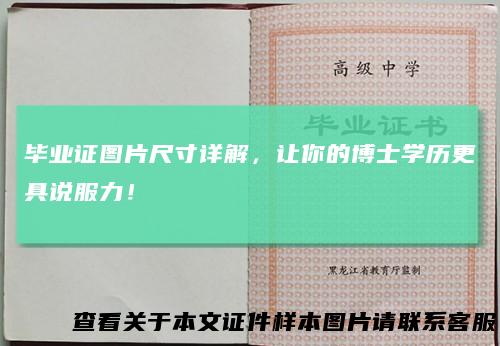 毕业证图片尺寸详解，让你的博士学历更具说服力！