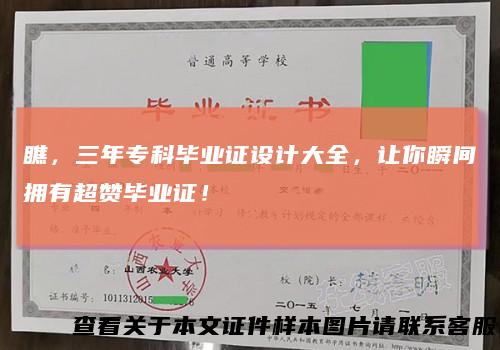 瞧，三年专科毕业证设计大全，让你瞬间拥有超赞毕业证！