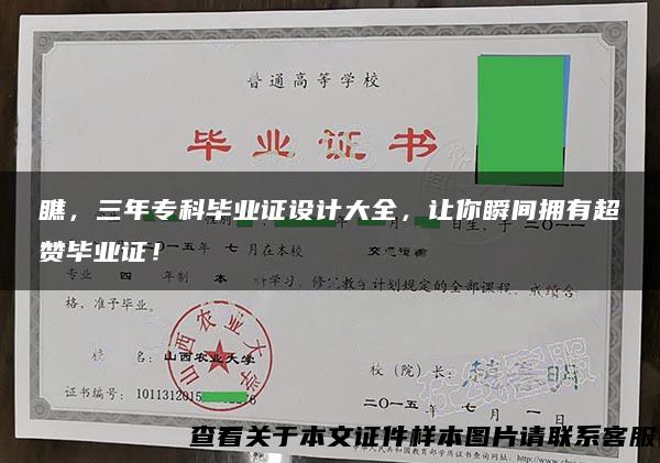 瞧，三年专科毕业证设计大全，让你瞬间拥有超赞毕业证！