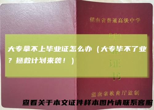 大专拿不上毕业证怎么办（大专毕不了业？拯救计划来袭！）