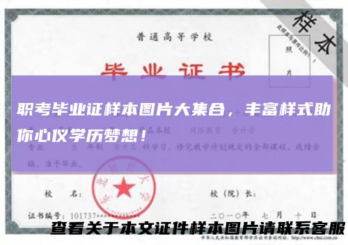 职考毕业证样本图片大集合,丰富样式助你心仪学历梦想!