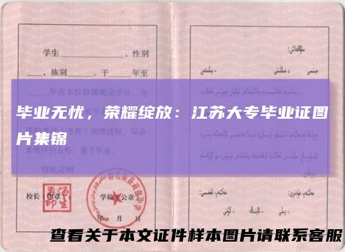 毕业无忧，荣耀绽放：江苏大专毕业证图片集锦