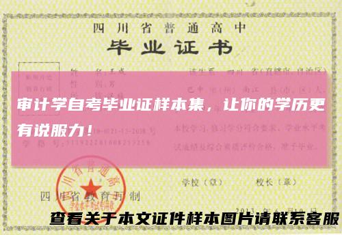 审计学自考毕业证样本集，让你的学历更有说服力！